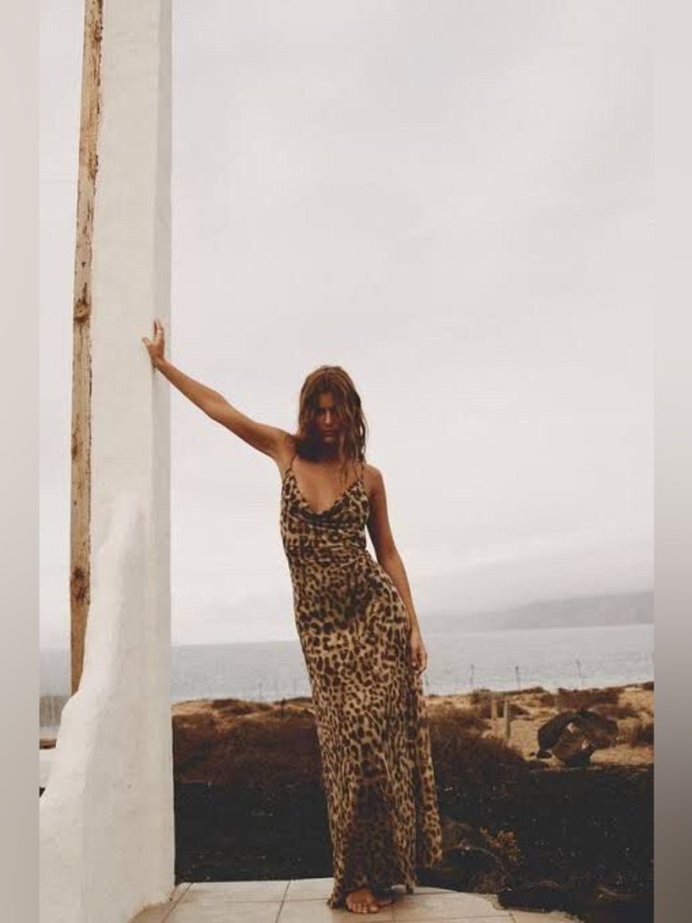 Zara Leopard Print Maxi Dress
